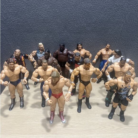 WWE Lot of 16 2003 Jakks Pacific Action Figure Brian Knobbs Mat Harvey Bam Bam